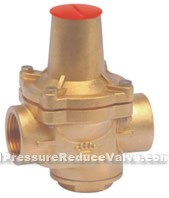 Branch pipe reducing valves