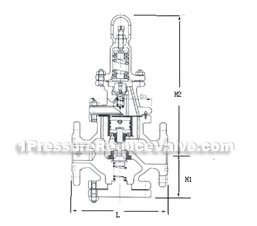 Combined type reducing valve constructral diagram